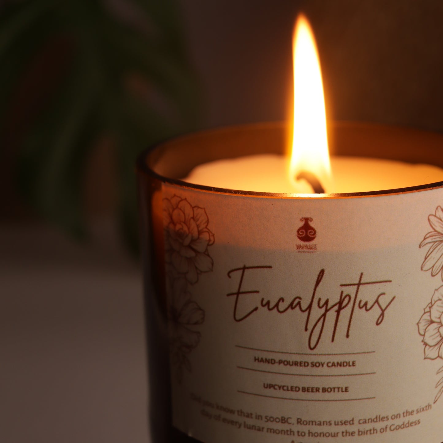 Eucalyptus-Scented-Hand-Poured-Soy-Candle.jpg