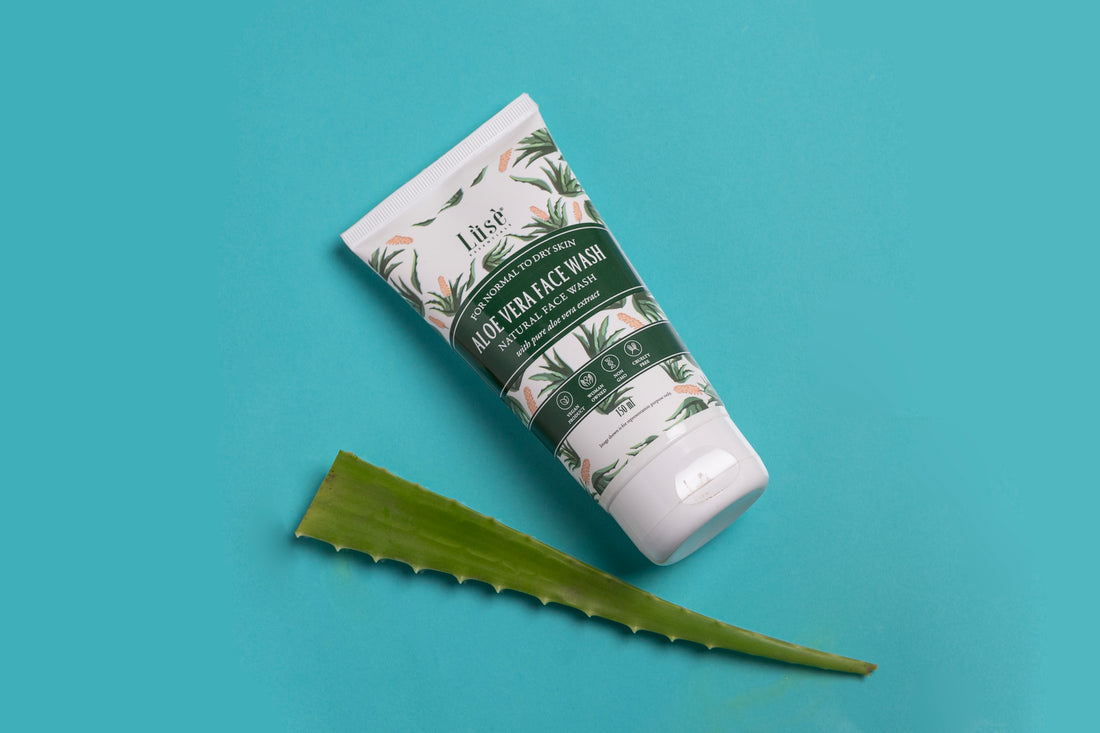 Why are Aloe Vera and Rose Highly Utilised Ingredients in Skincare Products?
